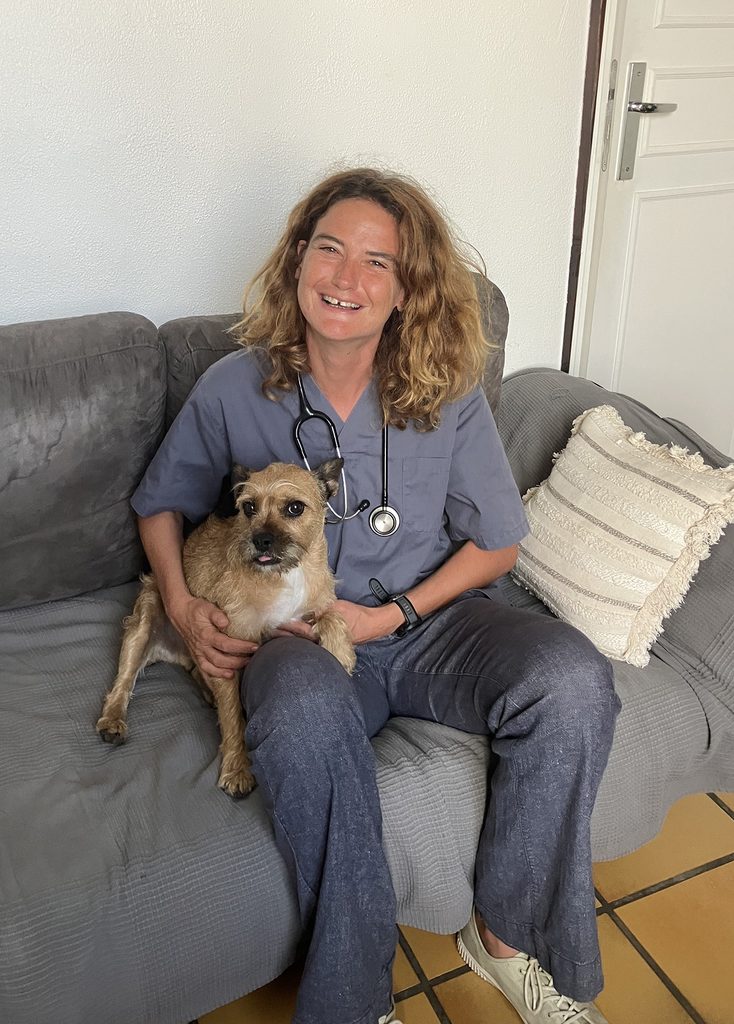 Un gentil chien soigné à domicile par Charlotte Taton